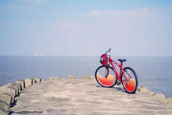 老夫妻上海一日游,上海老夫妻旅游路线攻略