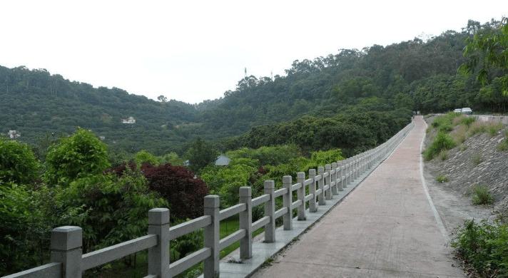 东莞最值得一去的公园，环境优美、美不胜收