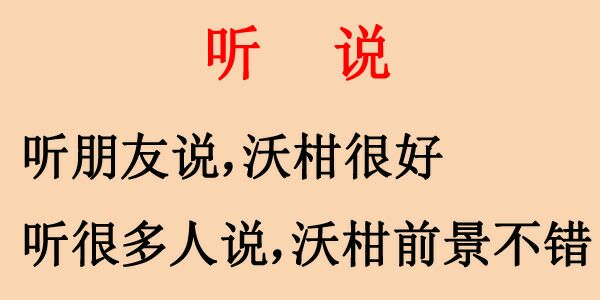 沃柑真的走不动吗,沃柑已接近尾声了
