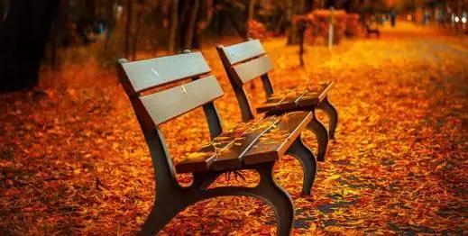 去塔城喝什么饮料,去塔城需要什么条件