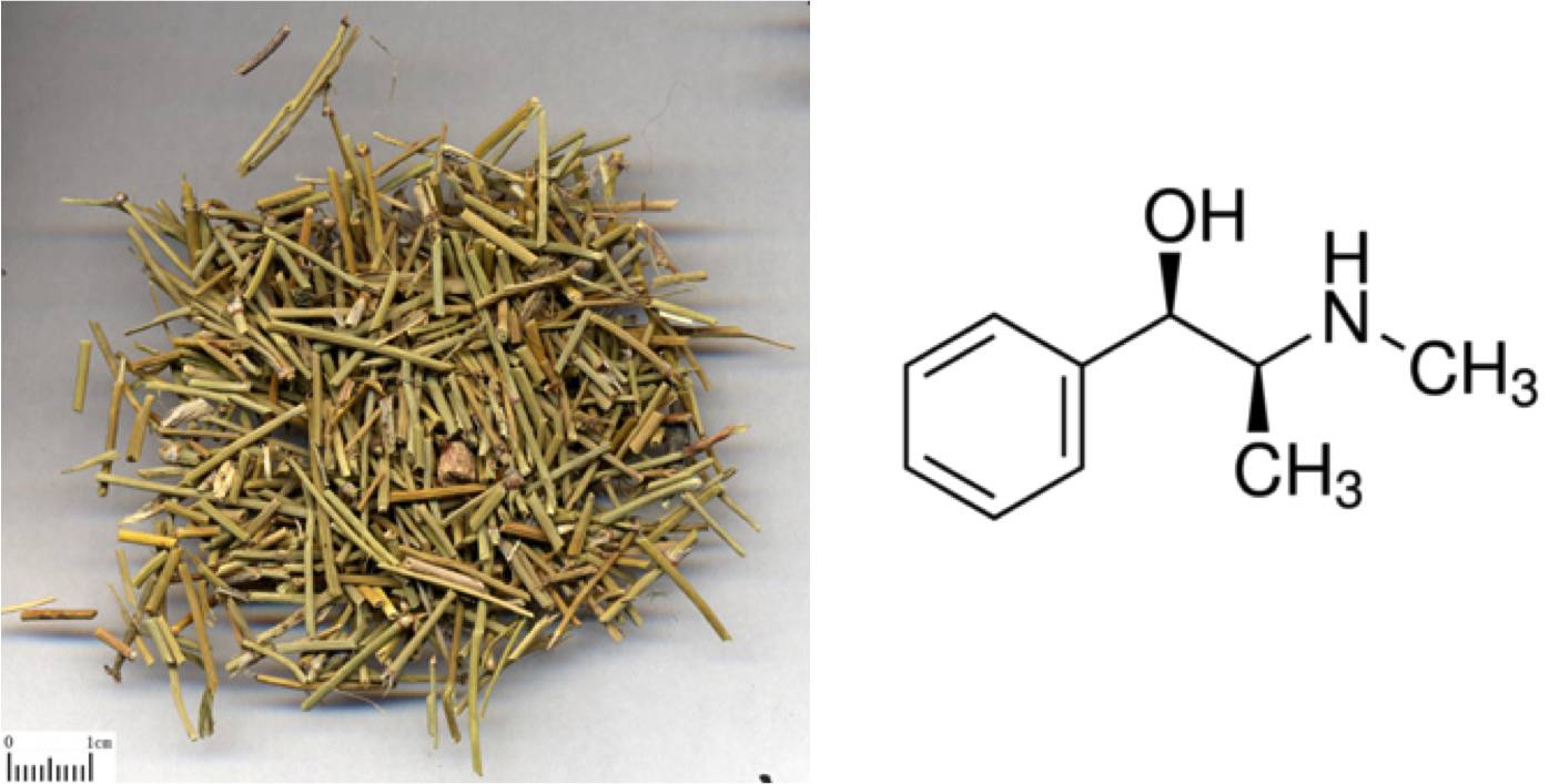 王立铭专栏｜那些“要命”的*肥药减**