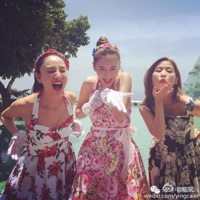 陈真余文乐,余文乐陈真