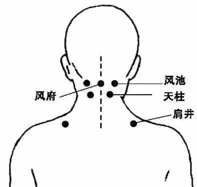 身上的降压穴位图,身上有哪几个降压穴