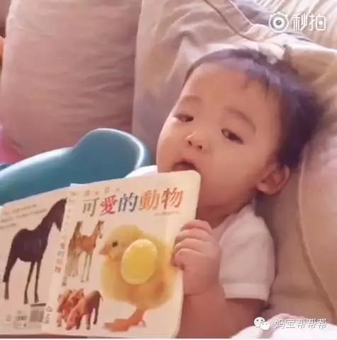 范玮琪梁静茹吴佩慈,范玮琪林俊杰