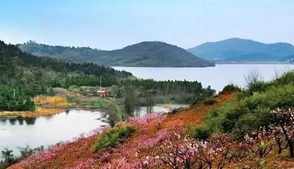 常州旅游节免费景点,常州太湖湾旅游节