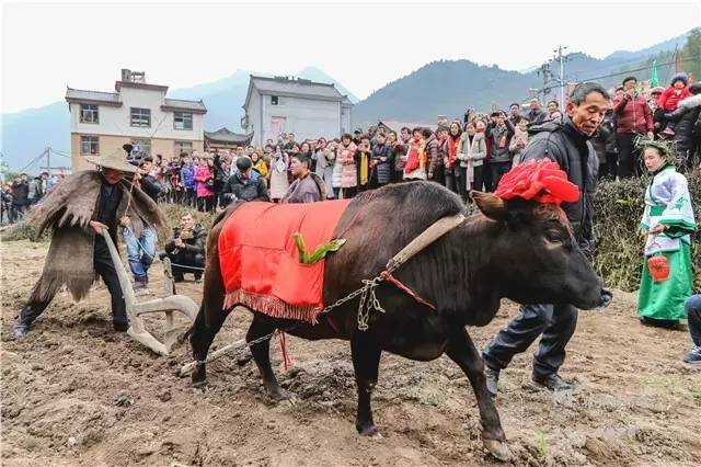 浙江衢州是一个怎么样的城市,浙江人眼中的衢州