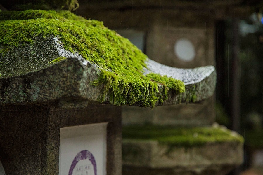 奈良:大和原点|行舍专栏