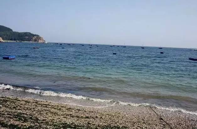 金普新区自驾游攻略,金普新区旅游攻略一日游