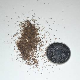 孕晚期旅行日记,孕中期终于可以去旅行了