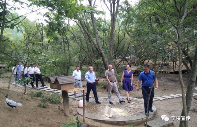 宁陕悠然山度假景区,宁陕悠然山