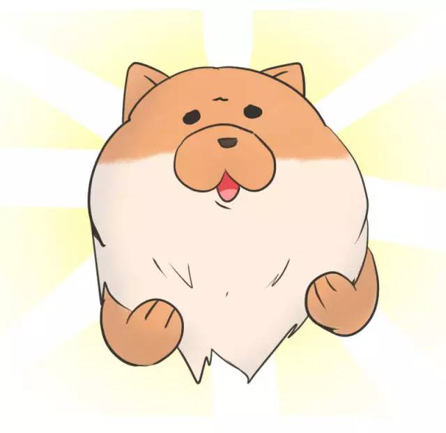 中华名犬唯一上榜的犬,中国顶级中华名犬猎犬