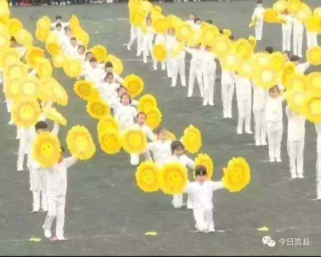 在洛阳我们身边举办的近百场活动，你参加过几次？为了健康，你得看看