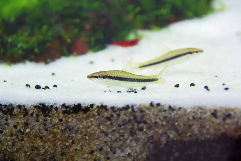 旅游时看到山川河流的感悟,旅游途中看到的景物