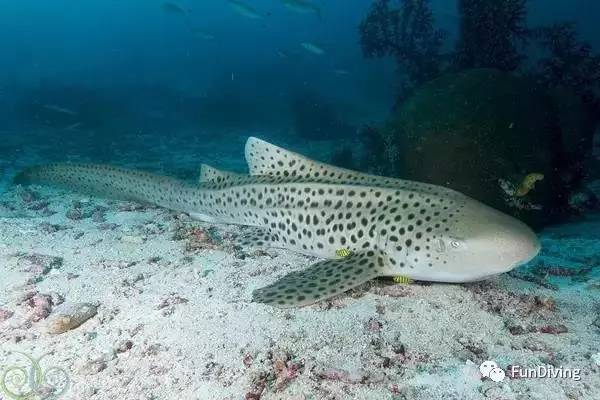 从入门级到朝圣级，船宿该怎么选？