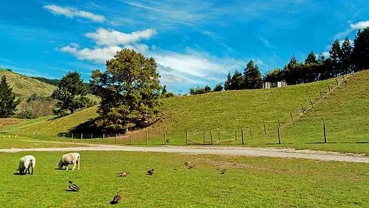 浦城首付20万的房子,福建浦城一套房子多少钱