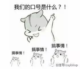 上新品必须要囤货吗,上新购物