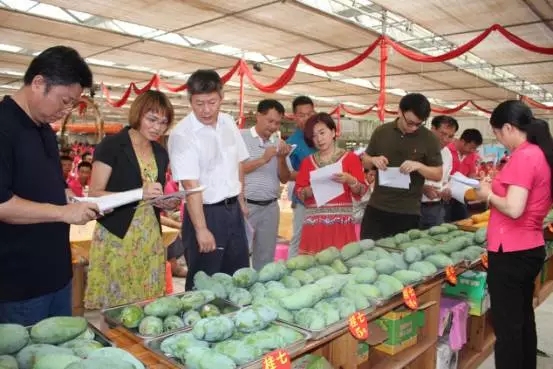 三宁转型向高精尖挺进,三宁芒果