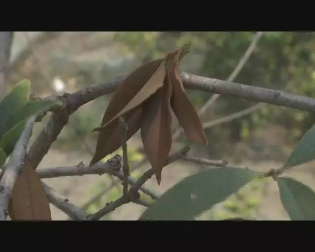 汗蒸给蒸中暑了搞笑视频,居然中暑了