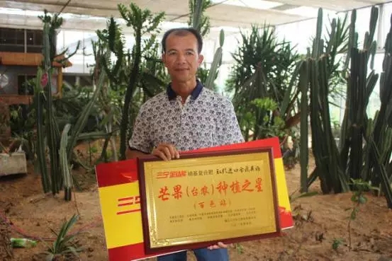 三宁转型向高精尖挺进,三宁芒果