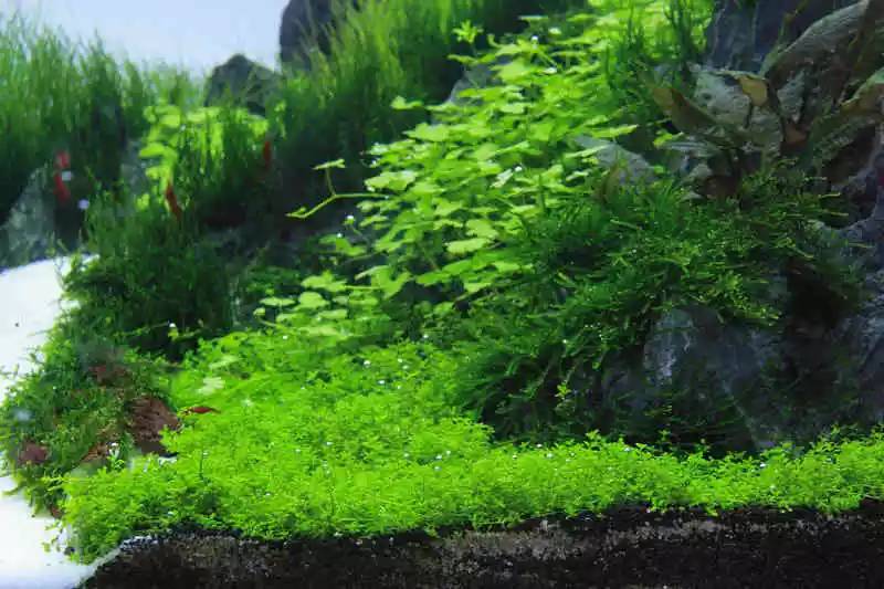 旅游时看到山川河流的感悟,旅游途中看到的景物