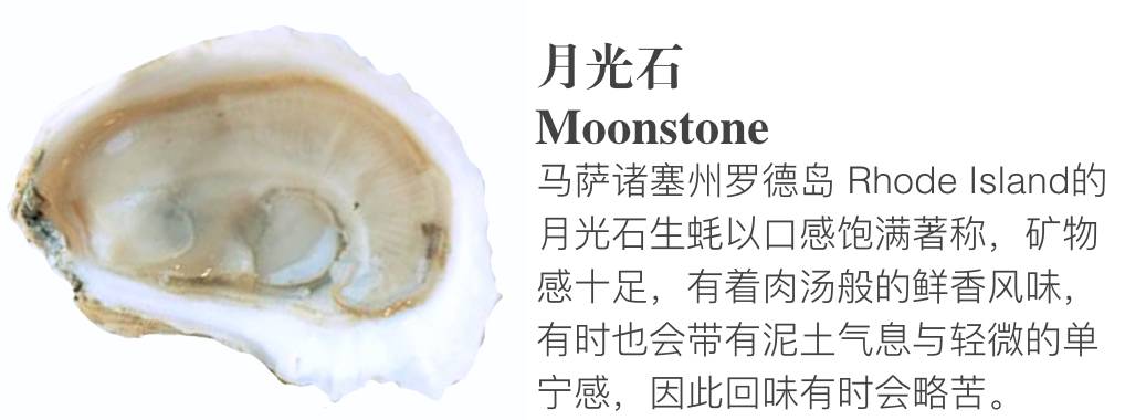 贝隆生蚝,贝隆生蚝和吉拉多生蚝哪种好