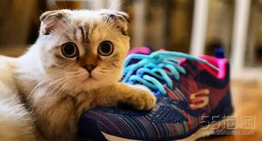 五姐海淘,海淘5姐