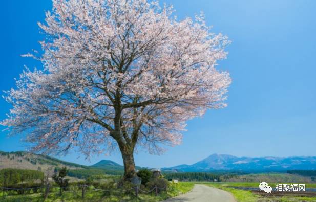 日本九州岛最值得去的地方,日本九州哪里好玩