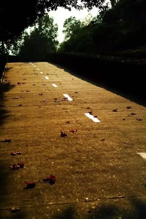 三江学院，小三本的奋斗传奇