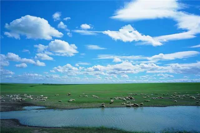 对不起，我去草原了，别再找我了……