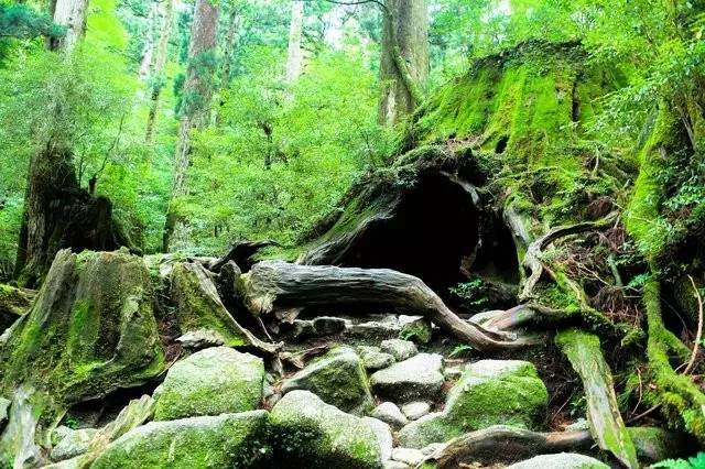 八月你好，我想去看看二次元的世界！