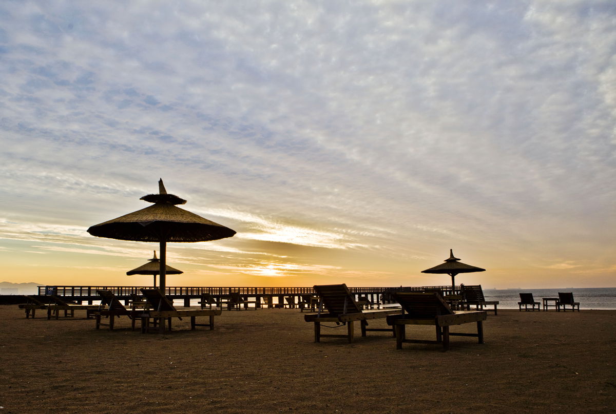 秦皇岛适合带狗去的地方,北戴河的民宿带狗的可以去吗