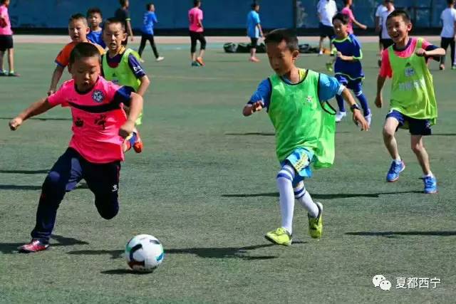 足球小子青少年足球大赛,中国青少年足球队贝贝杯