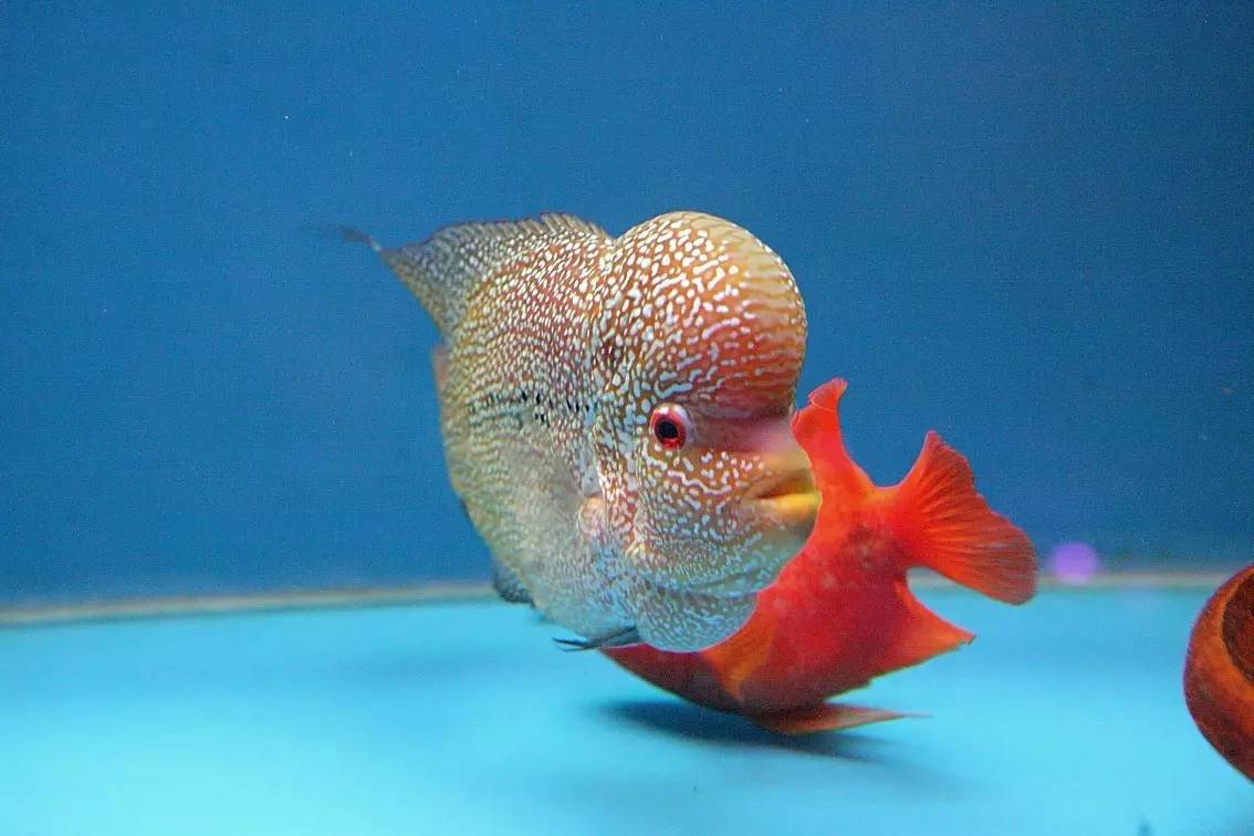 手把手教你如何正确消毒,用什么消毒对冠状病毒有效