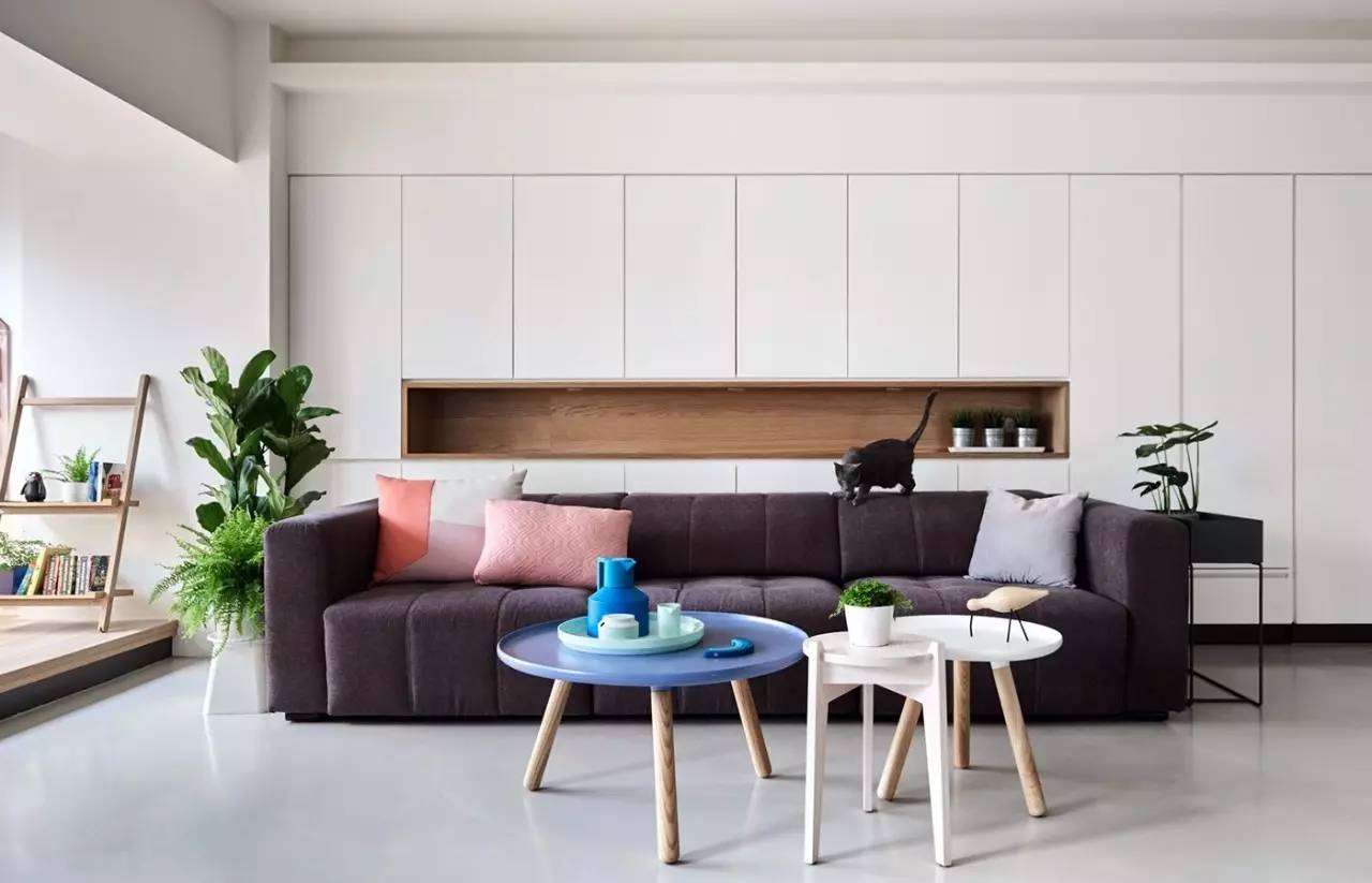 猫奴的生活布置,猫奴的卧室怎么装扮