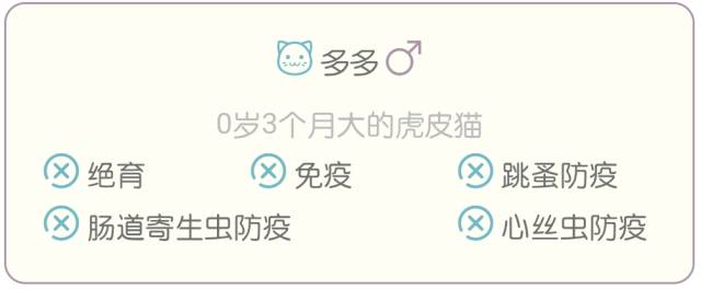 猫馋的喵喵叫怎么办,吃饭时猫咪上餐桌怎么办