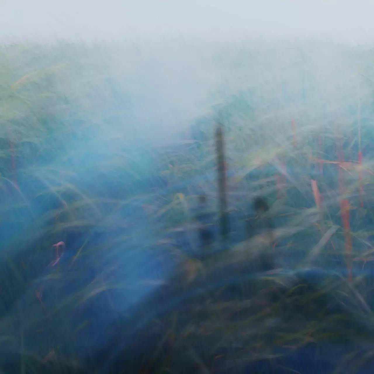 lomo摄影成立了多少年,lomo摄影是什么意思