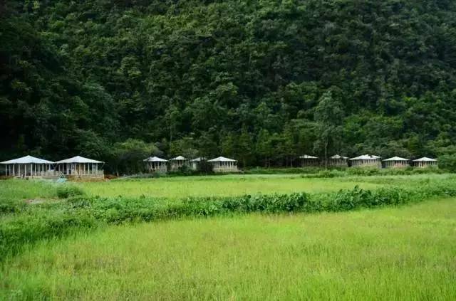 贵州不用带帐篷露营地推荐,贵州自搭帐篷露营地推荐