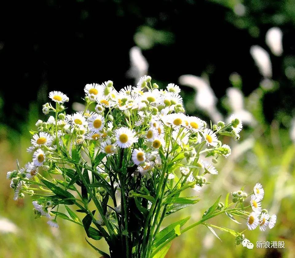 恒指买空买多,买买买是什么定律