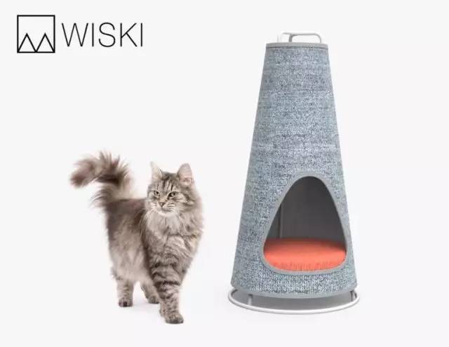 盘点那些实用的宠物生活用品,猫狗最实用的宠物用品