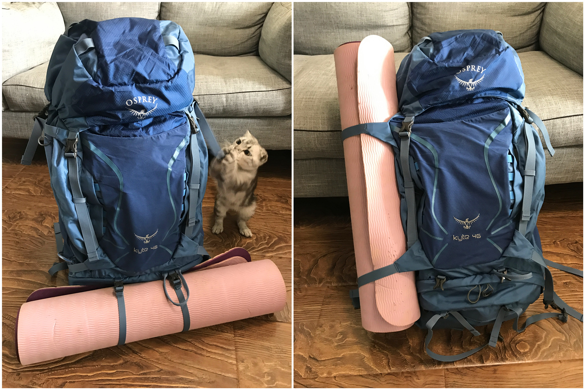 老款鹞鹰58l登山包,鹞鹰登山包推荐