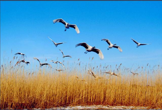 2017江苏省平均工资出炉,江苏2020工资平均水平