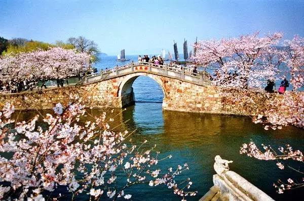 2017江苏省平均工资出炉,江苏2020工资平均水平