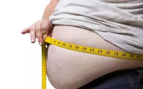 一日三餐午餐食谱,一日三餐之午餐