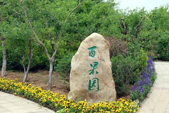 长沙葡萄采摘,长沙天露葡萄采摘时间