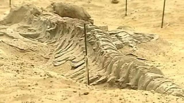 奇葩啤酒哪个牌子好喝,新奇的啤酒有哪些