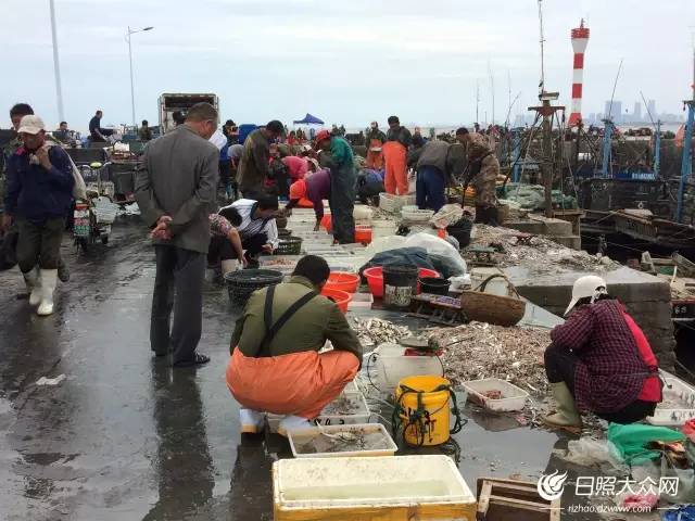日照开海后什么时候买海鲜,日照开海首日海鲜