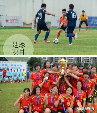 佛山市运动会金牌,佛山第10届运动会什么时候开