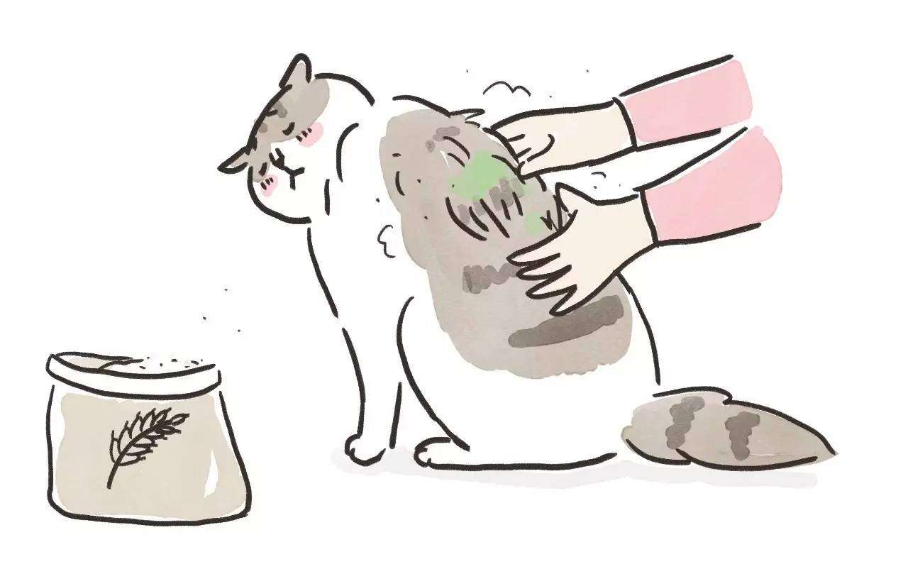 救命啊!主子溺水、触电、中毒了怎么办?!丨强档