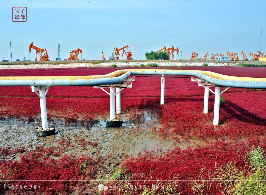 亚洲最大的天然红地毯,世上最出名的红地毯