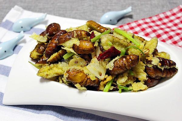 干煸蚕蛹图片高清图片,干煸蚕蛹多少钱